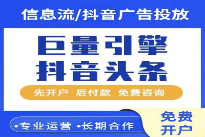 百度竞价与搜索引擎优化（SEO）结合的经典案例